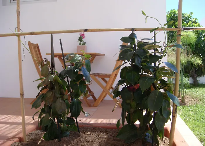 Casa Da Ilha - Slow Living & Pensionat 4*