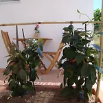 Casa Da Ilha - Slow Living & לינה וארוחת בוקר 4*