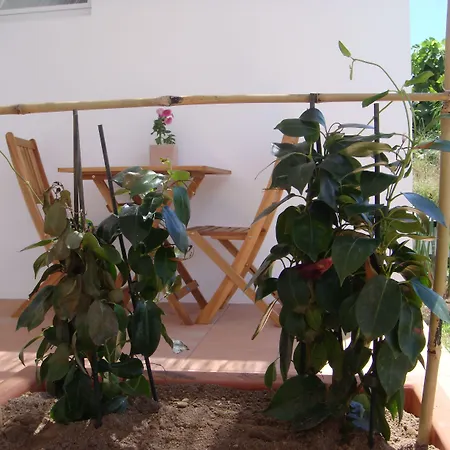 Casa Da Ilha - Slow Living & فندق مبيت وإفطار 4*
