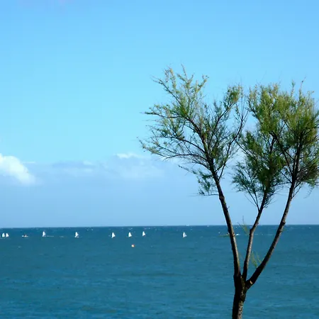 Casa Da Ilha - Slow Living & 招待所