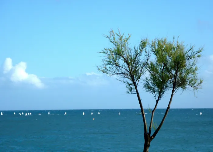 Casa Da Ilha - Slow Living & Πανσιόν